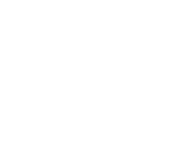 Level 4 Collective